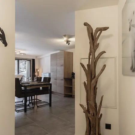 The Bear Apartment *